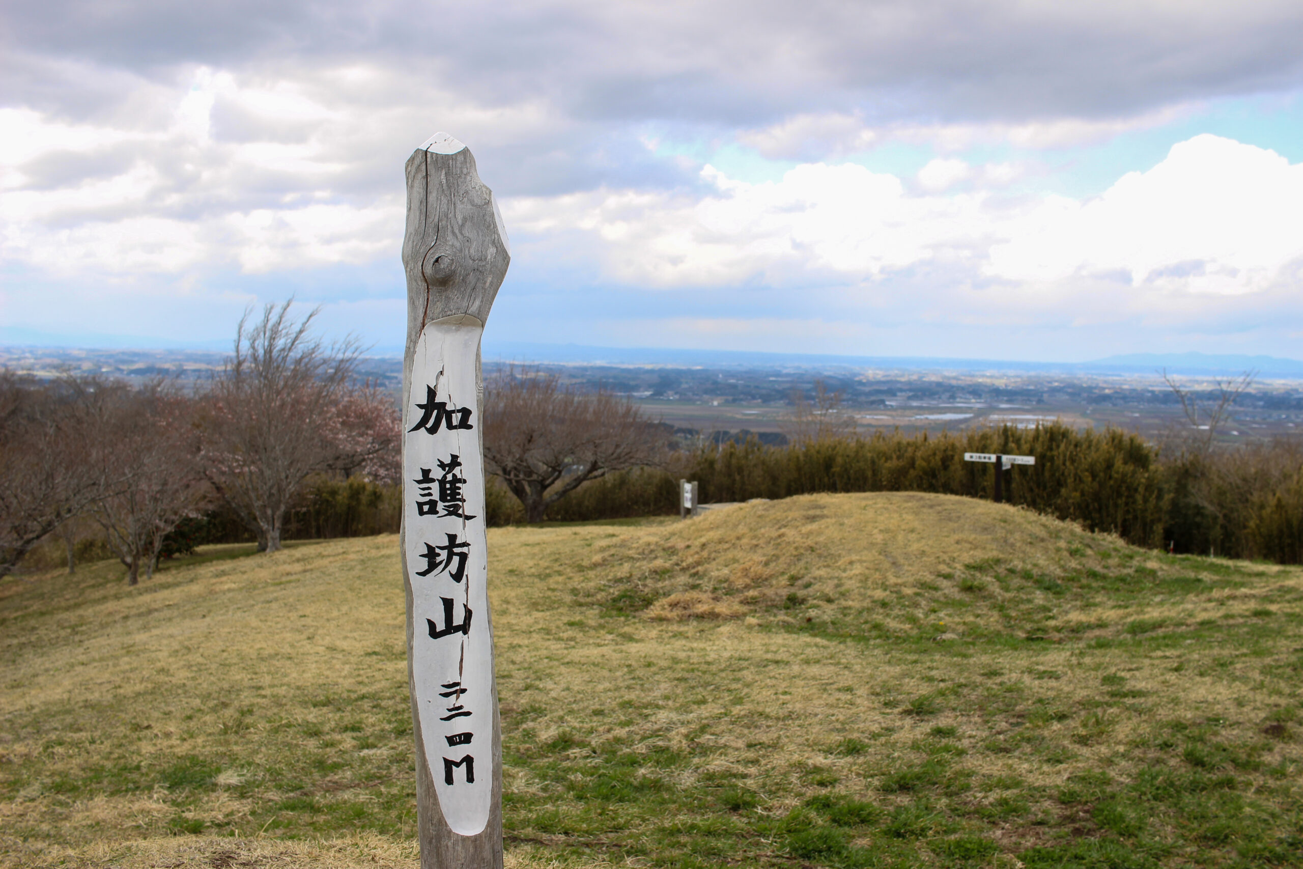 20250416_加護坊桜まつり加護坊山自然公園_IMG_0871