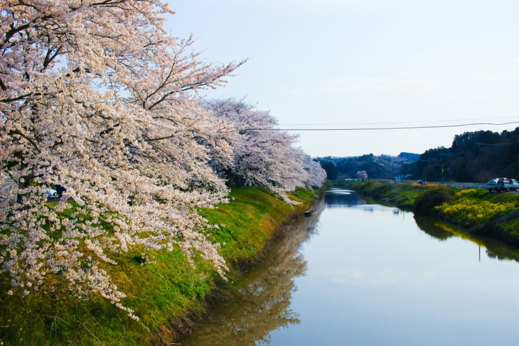 20250417_水辺公園_IMG_0970