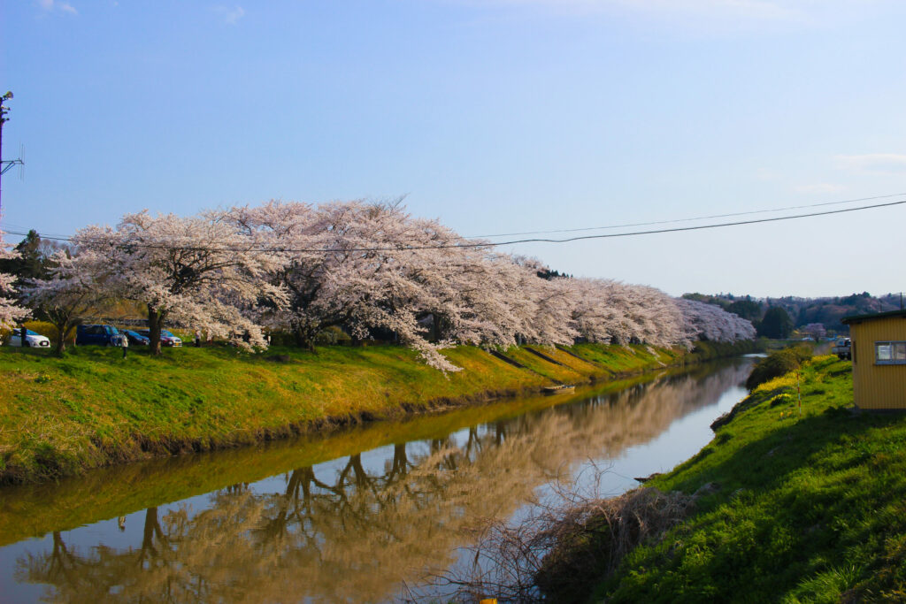 20250417_水辺公園_IMG_0985