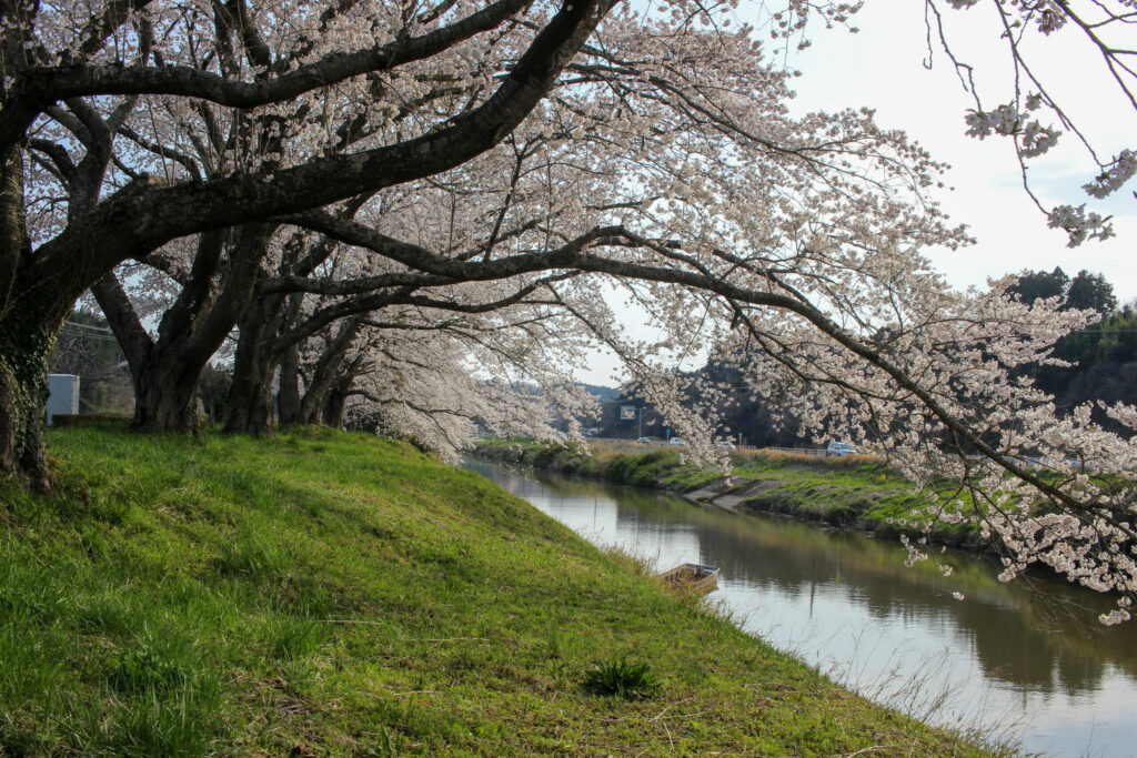 20250417_水辺公園_IMG_1069
