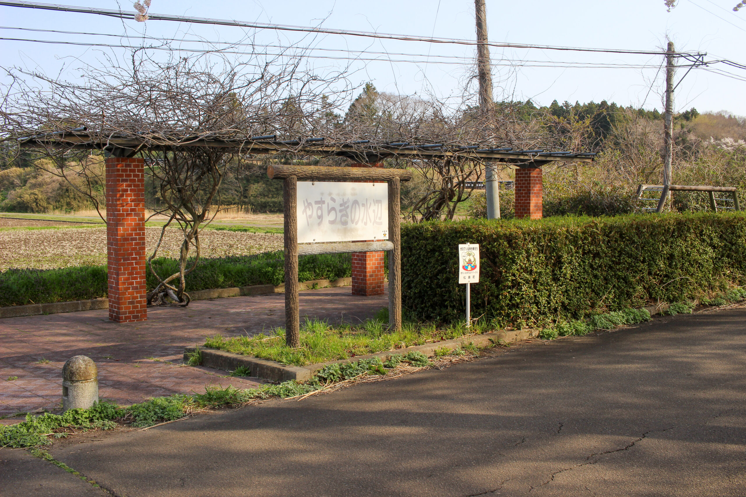 20250417_水辺公園_IMG_1076