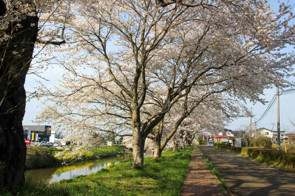 20250417_水辺公園_IMG_1084